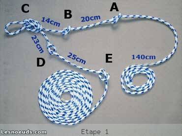 licol amÃ©ricain Ã©tape 1