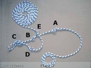 licol amÃ©ricain Ã©tape 2