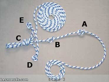 licol amÃ©ricain Ã©tape 3