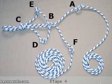 licol amÃ©ricain Ã©tape 4