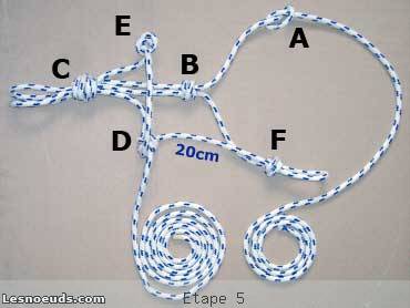 licol amÃ©ricain Ã©tape 5