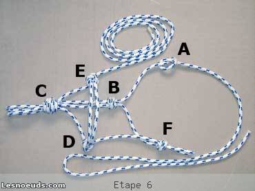 licol amÃ©ricain Ã©tape 6