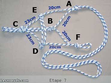 licol amÃ©ricain Ã©tape 7