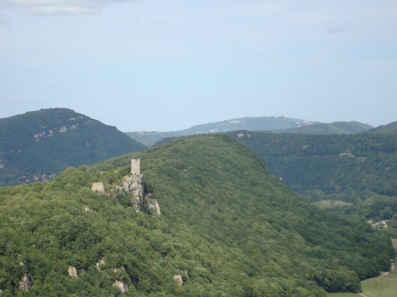 DSC00514
