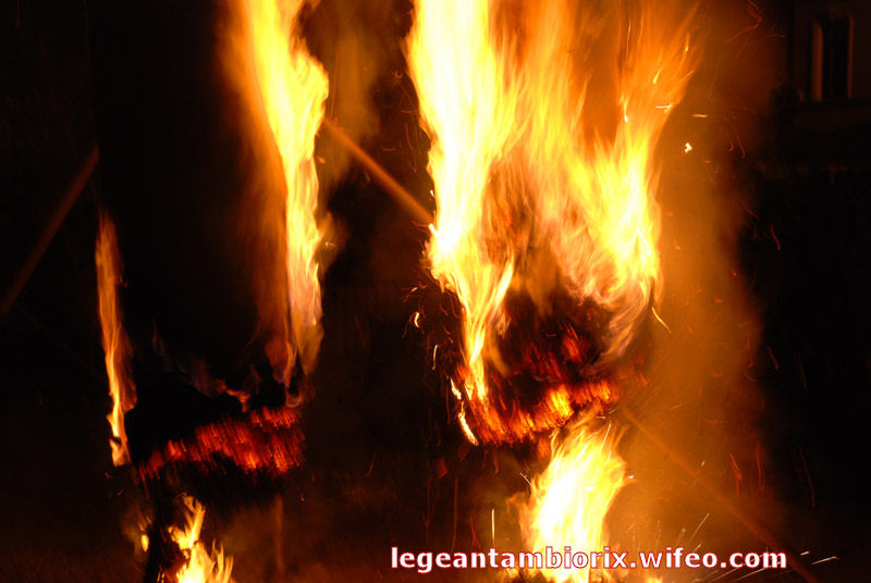 BRULAGE MARONNE 2008 72