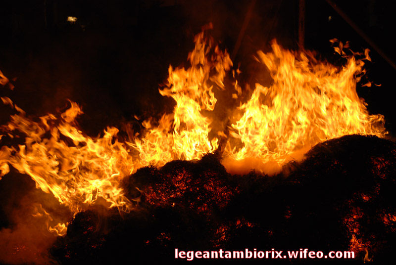 BRULAGE MARONNE 2008 80