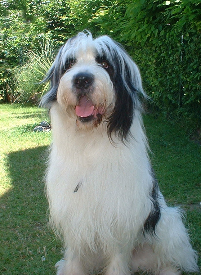 080316123011141081831728