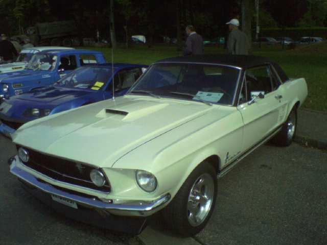 Photo0006