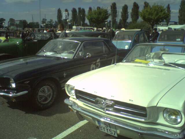Photo0007
