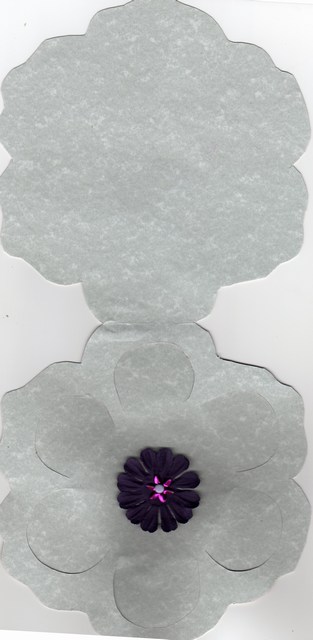 mini-carte006