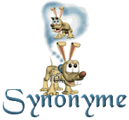 La règle du "Synonyme" 081015072014320492618045