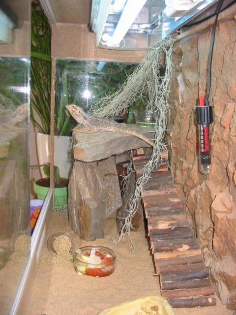 le terrarium de griffith 081020022858439902638121