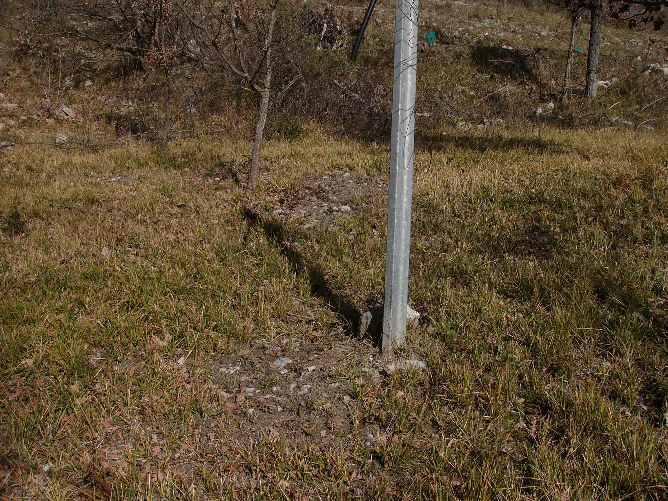 brul&Atilde;&copy; P1030592