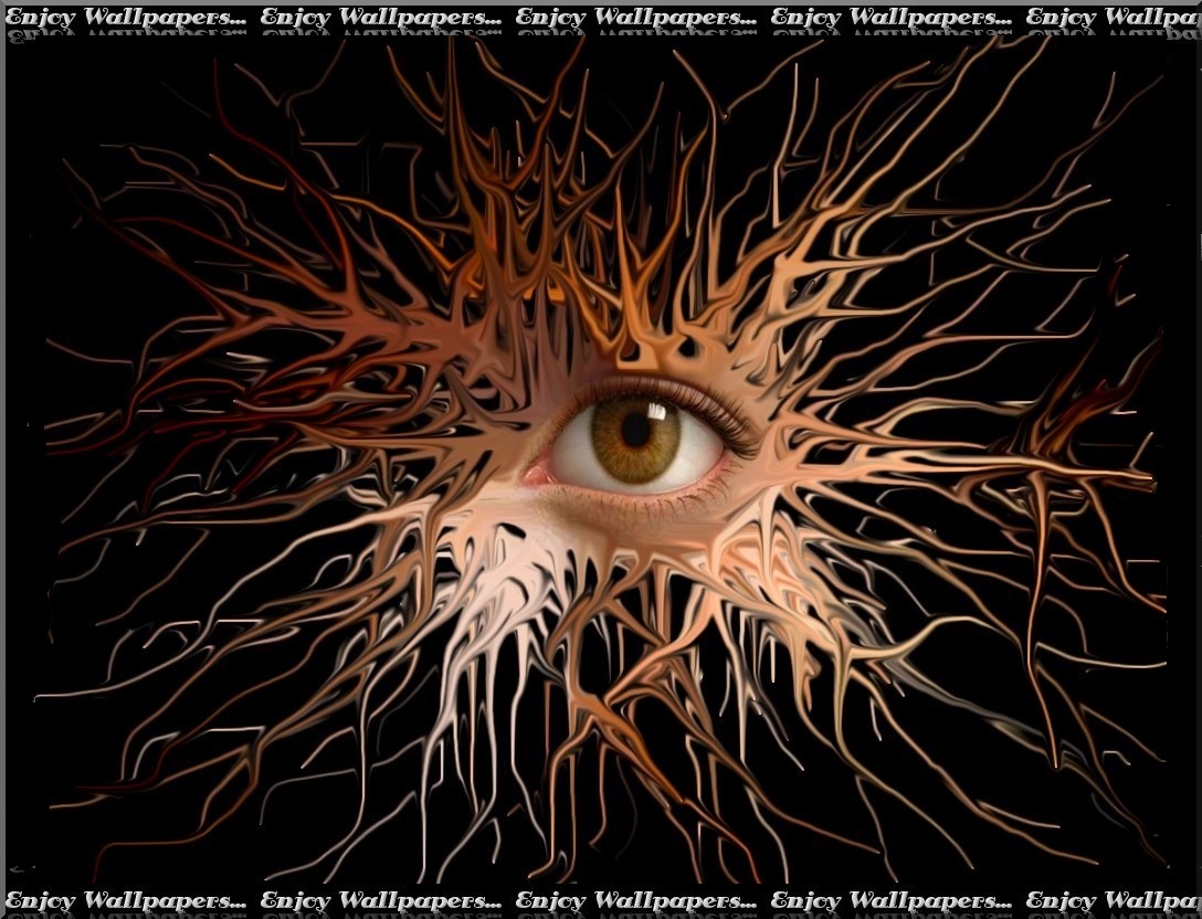 eye4_ wallpaper 1024x768