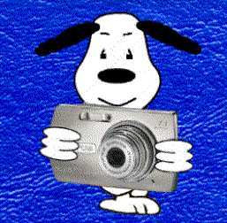 Snoopy Signature - Photo