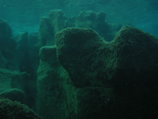 DSCN3275, bis