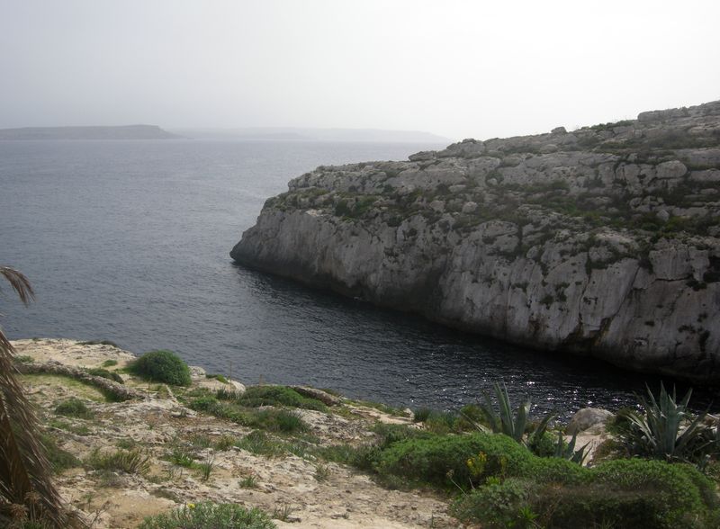 DSCN3357, bis
