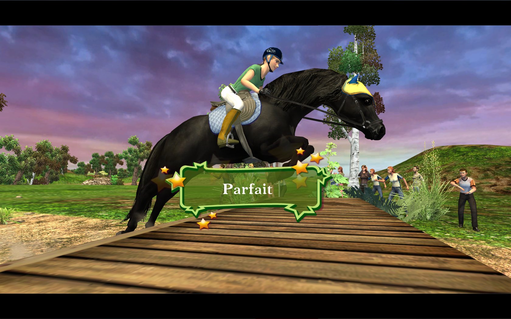 HorseLife2 2008-11-15 12-27-59-62