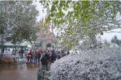 disneyland neige - Vos photos de Disneyland Paris sous la neige ! - Page 4 Mini_081205101149486632839402