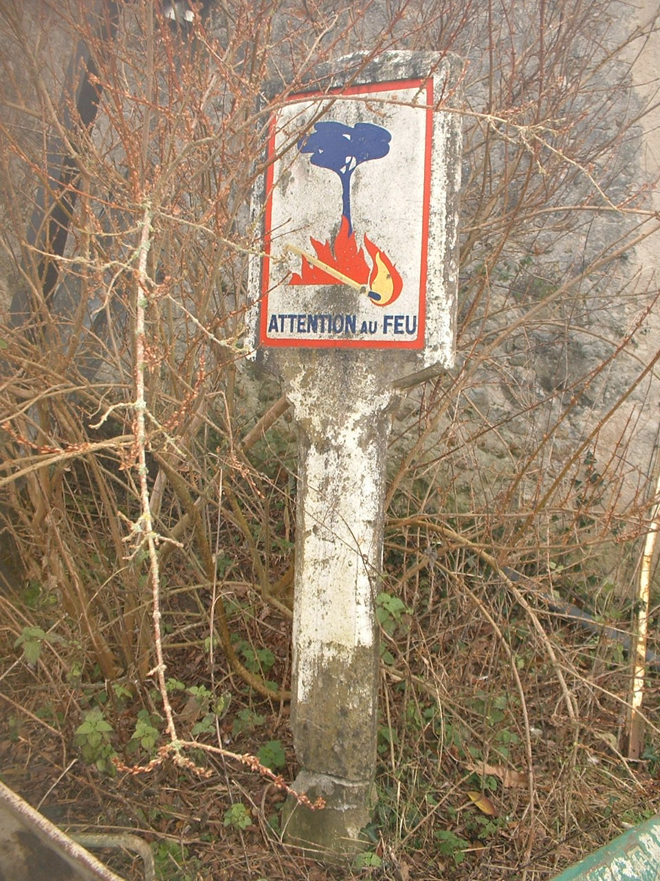 DSCF0003