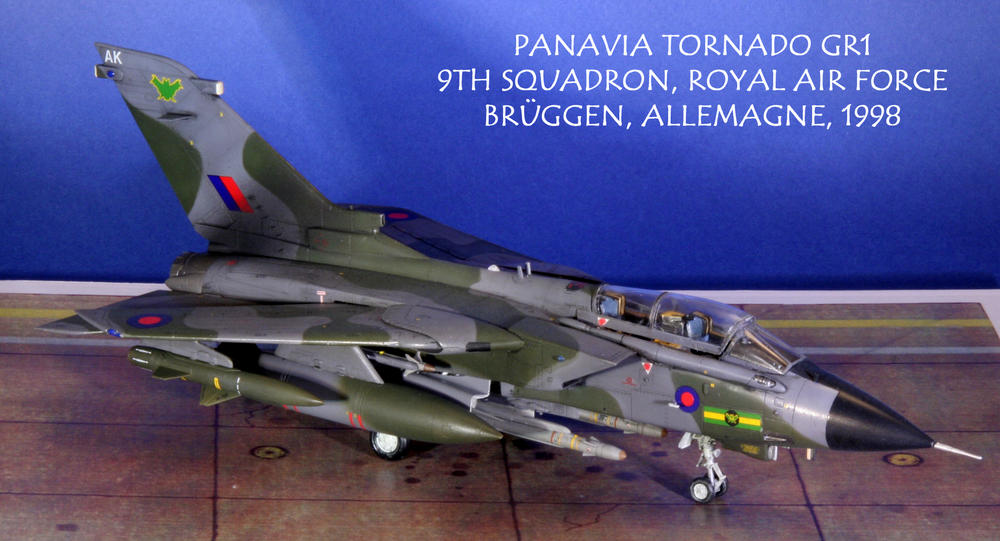 [Revell] Panavia Tornado GR1 9ème Sqd 081212065410492892865476