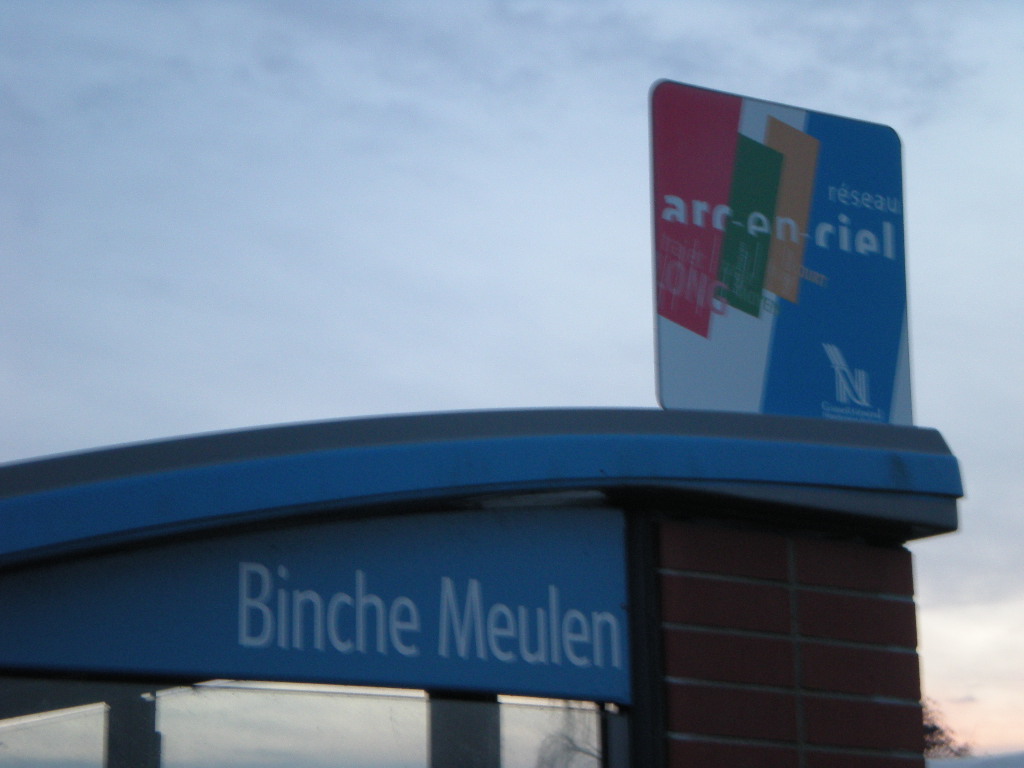 Binche Meulen