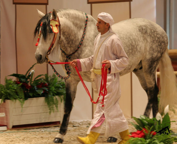 Salon du cheval à Paris - Page 8 081227093014504552919650