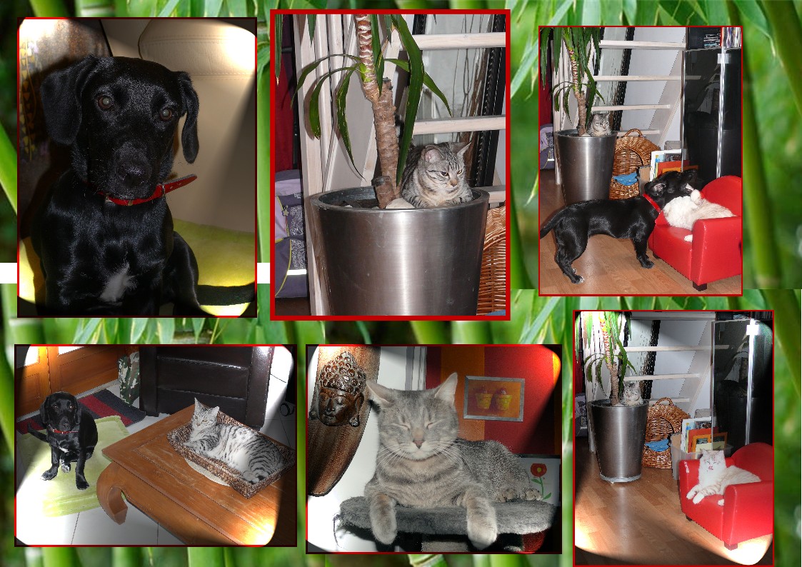 une &Atilde;&copy;quipe d'enfer