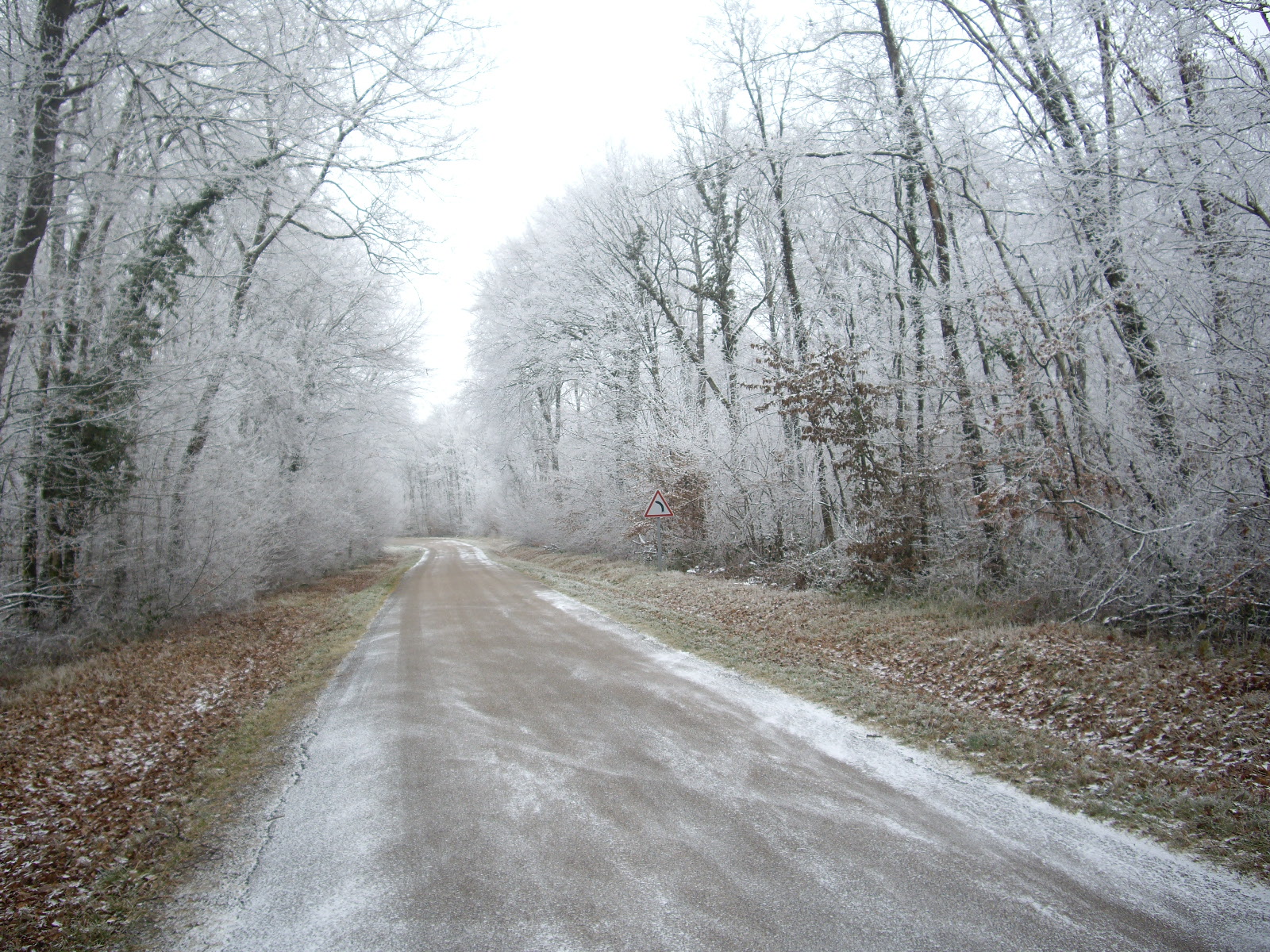 IMGP0818