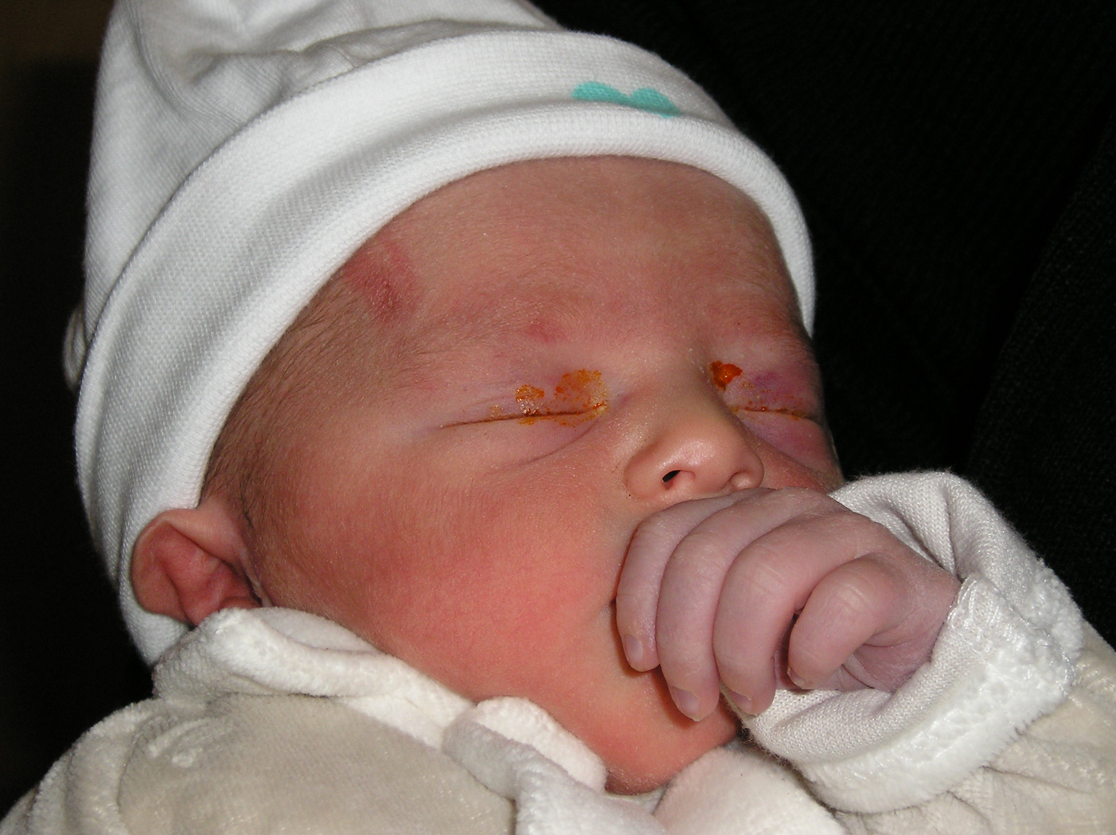 etan noel 2008-77