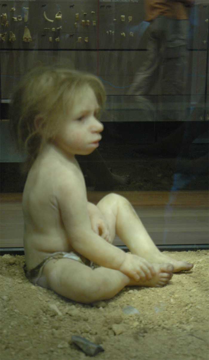 Musée de la Préhistoire - les Eyzies de tayac 090117104931111023010133