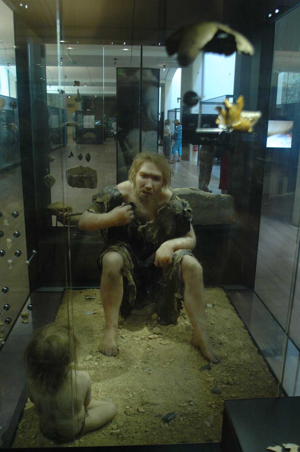 Musée de la Préhistoire - les Eyzies de tayac 090117105129111023010152