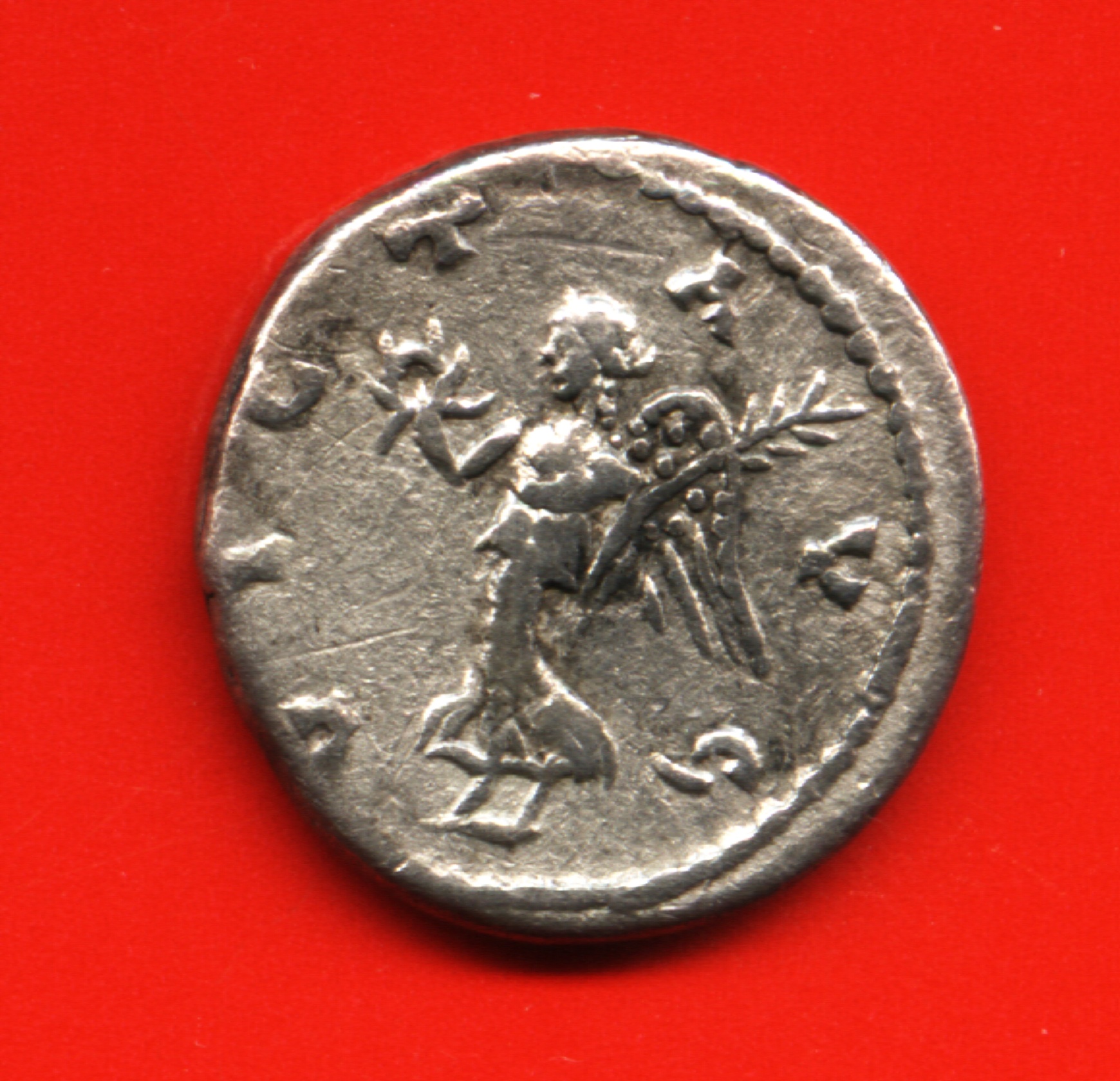 Septime S&Atilde;&copy;v&Atilde;&uml;re 1 bis