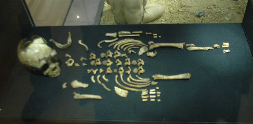 Musée de la Préhistoire - les Eyzies de tayac 090118122945111023011801