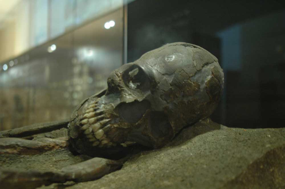 Musée de la Préhistoire - les Eyzies de tayac 090118123002111023011803