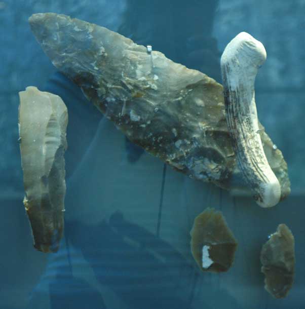 Musée de la Préhistoire - les Eyzies de tayac 090122103549111023038734
