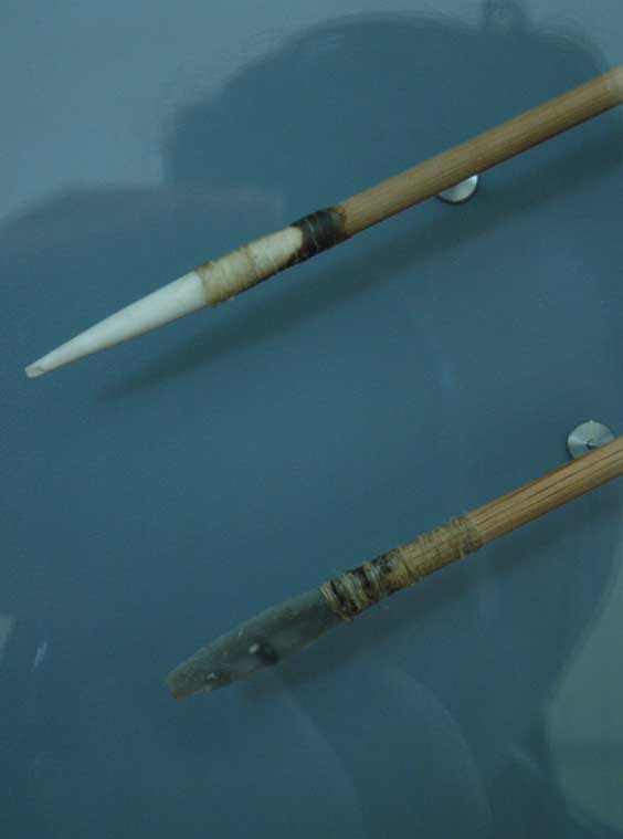 Musée de la Préhistoire - les Eyzies de tayac 090122103609111023038735