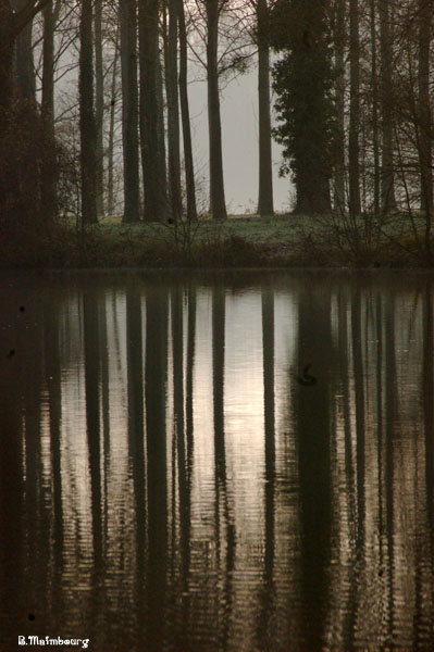 Image hébergée par Casimages.com : votre hébergeur d images simple et gratuit