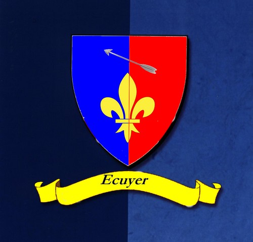 Blason our ceux qui n'ont pas d'avatar 090214035342457813152162