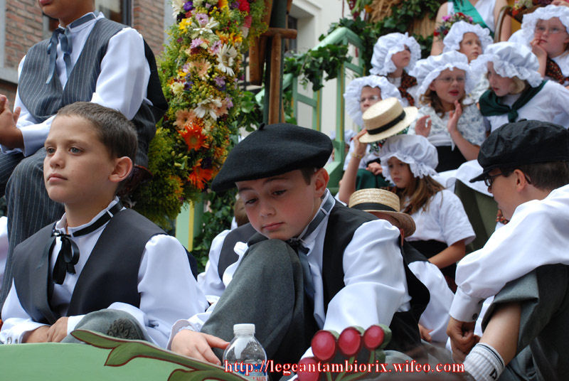 Le char de l'agriculture 29