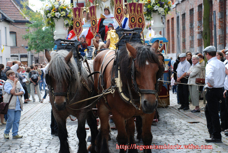 Le char des 9 provinces 6