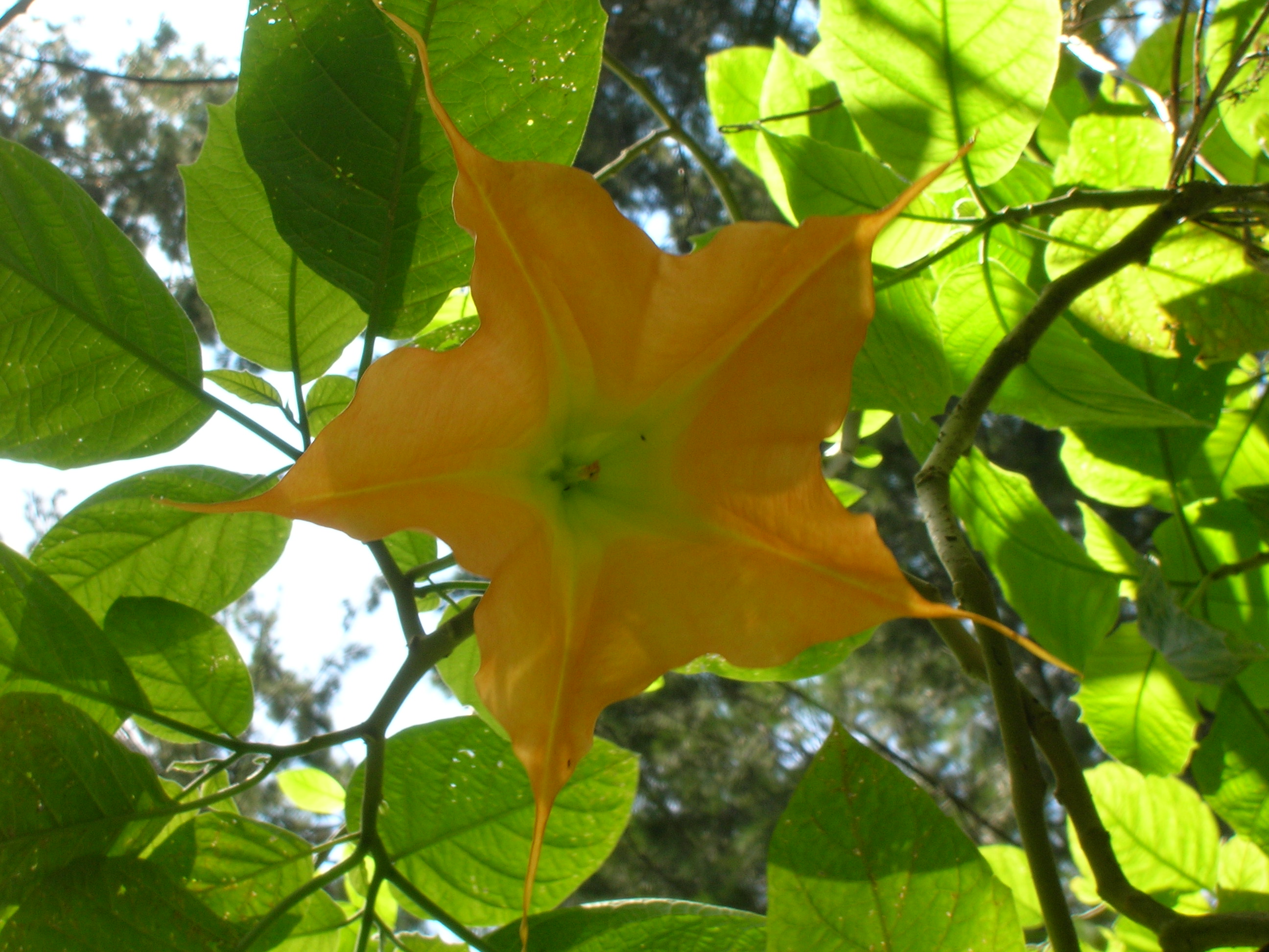 r&Atilde;&copy;union2 310