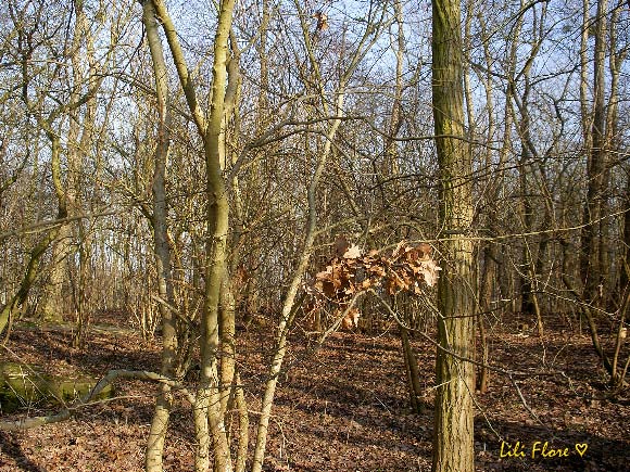 Image hébergée par Casimages.com : votre hébergeur d images simple et gratuit