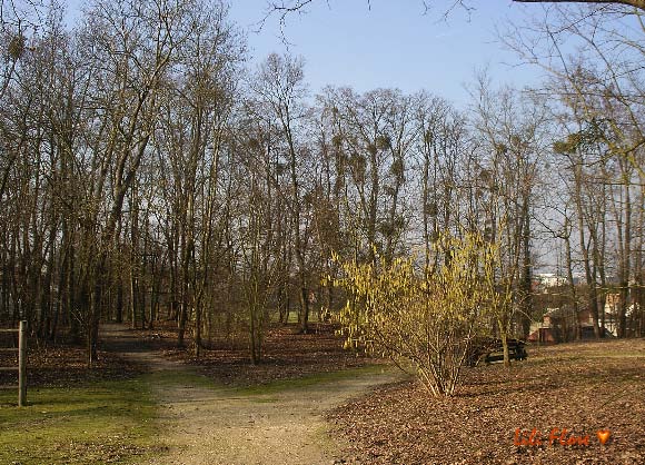 Image hébergée par Casimages.com : votre hébergeur d images simple et gratuit