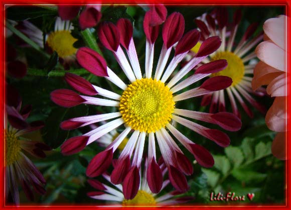 Image hébergée par Casimages.com : votre hébergeur d images simple et gratuit