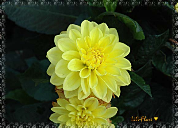 Image hébergée par Casimages.com : votre hébergeur d images simple et gratuit