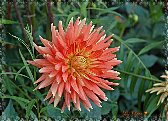 Image hébergée par Casimages.com : votre hébergeur d images simple et gratuit