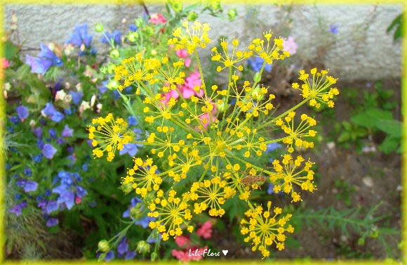 Image hébergée par Casimages.com : votre hébergeur d images simple et gratuit
