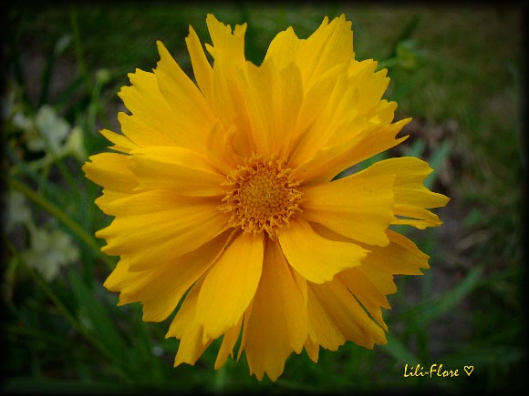 Image hébergée par Casimages.com : votre hébergeur d images simple et gratuit