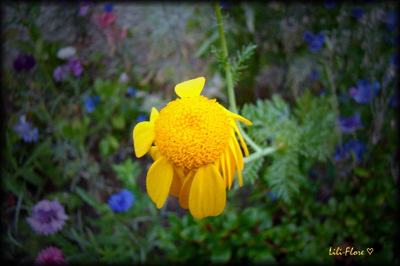 Image hébergée par Casimages.com : votre hébergeur d images simple et gratuit